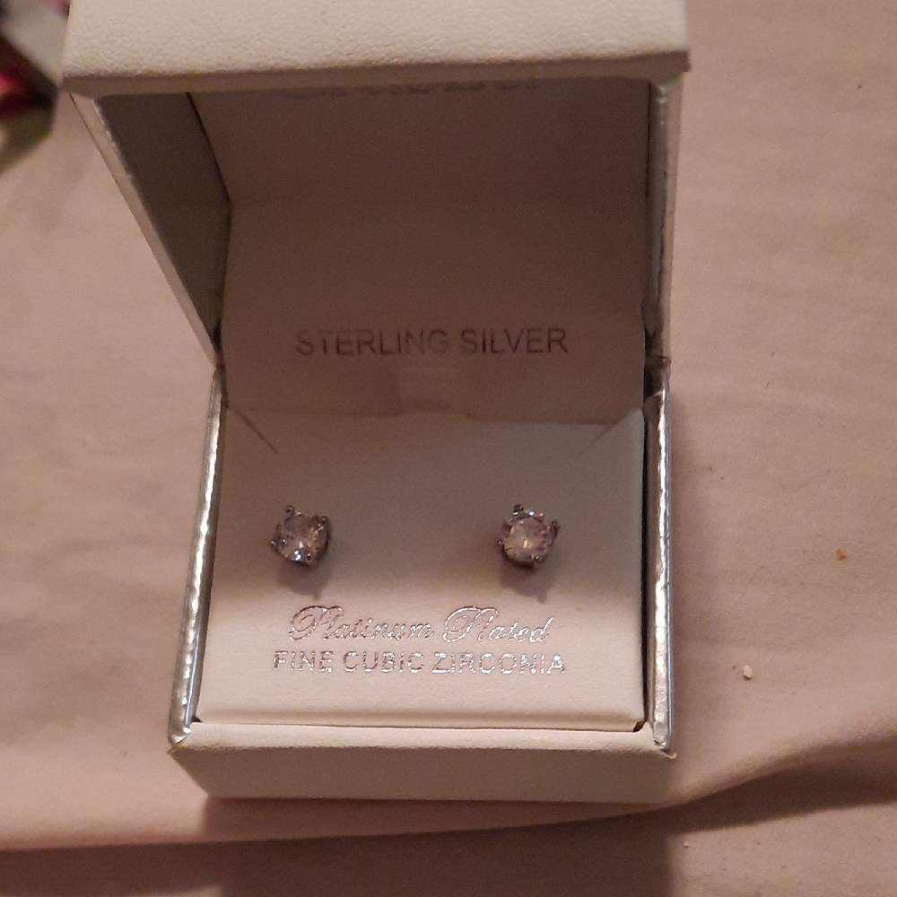 Delicate Silver Stud Earrings in Elegant Box